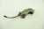 REZYSTOR DMUCHAWY OPEL VECTRA C (2002-2005) 2.2 16V 147KM 73421312
