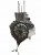 BLOK SILNIKA LIGIER OPTIMA W15706
