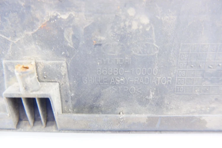 ATRAPA GRILL KIA CARENS III (2006 - 2013) 2.0 16V 86380-10000