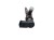 WTRYSKIWACZ RENAULT FLUENCE (2009-2012) 1.5 DCI 166009445R