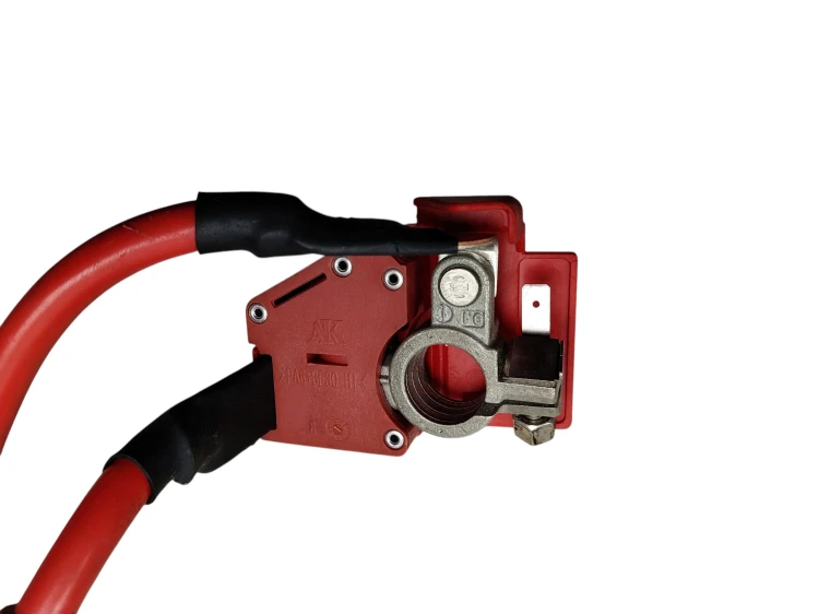 KLEMA AKUMULATORA PLUSOWA BMW F20 (2011-2015) 1.6 T 136KM 922775204