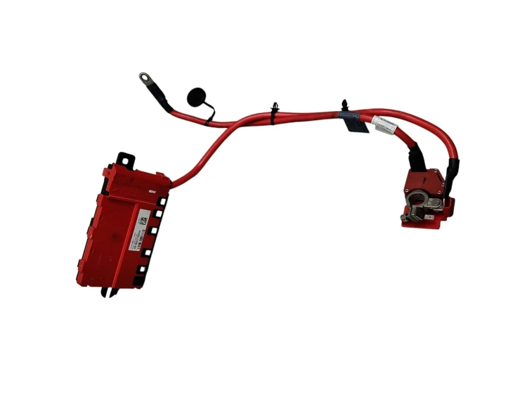 KLEMA AKUMULATORA PLUSOWA BMW F20 (2011-2015) 1.6 T 136KM 922775204