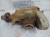 DYFERENCJAŁ MOST TYŁ BMW X1 E84 (2009-2012) 2.0 D 143KM 7566185