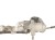 MAGLOWNICA CITROEN C4 PICASSO II (2013-2016) 2.0 BlueHDI 150KM 6820000276 A