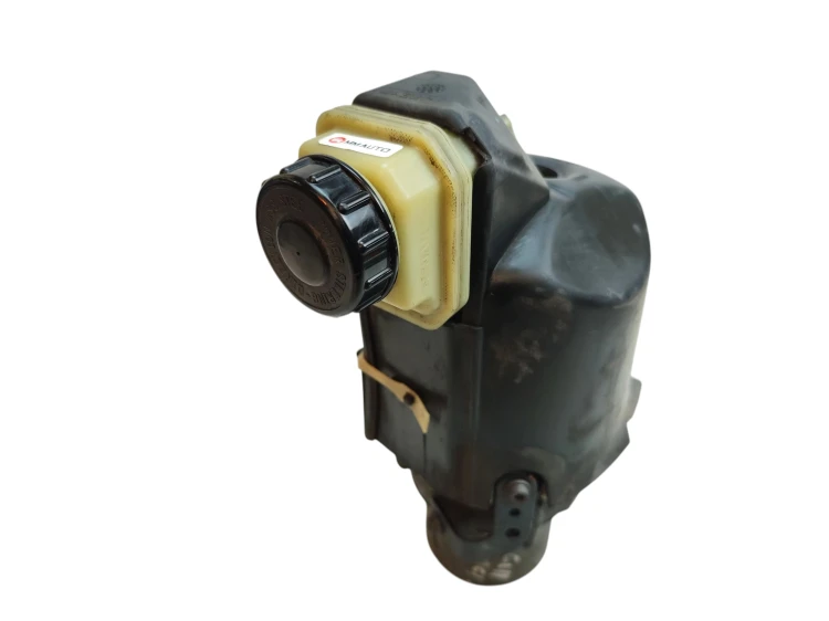 POMPA WSPOMAGANIA RENAULT LAGUNA III (2007-) 491100023R--B