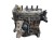 SILNIK SŁUPEK RENAULT SCENIC III (2009-2011) 1.6 16V 110KM K4MT866
