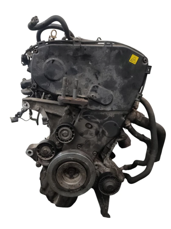SILNIK KOMPLETNY FIAT BRAVO II (2007-2010) 1.9 JTD 120KM 192A8000
