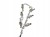 LISTWA WTRYSKOWA FORD WINDSTAR II (1998-2001) 3.0 V6 147KM XF2E-9F792-B2B