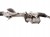 MAGLOWNICA OPEL ASTRA L (2022-) 1.2 T 131KM 680001758000
