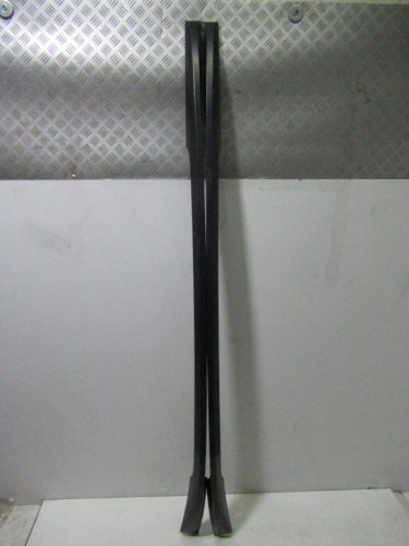 RELINGI DACHOWE RENAULT CLIO III (2005-2009)