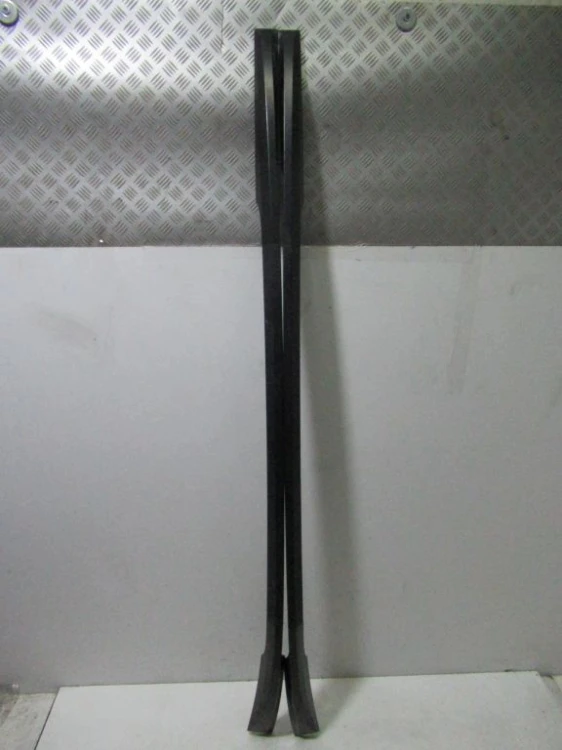 RELINGI DACHOWE RENAULT CLIO III (2005-2009)