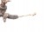 MAGLOWNICA VOLKSWAGEN NEW BEETLE (1998-2005) 2.0 8V 115KM 1J1422105DE