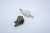 ZESTAW STARTOWY MAZDA 6 I (2002-2008) E6T52477H3