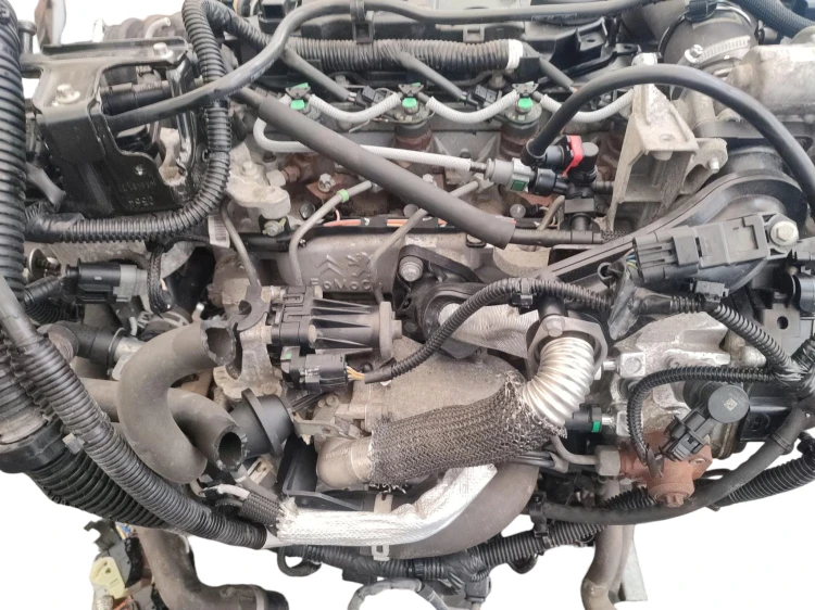 SILNIK KOMPLETNY FORD FOCUS MK3 (2010-2014) 1.6 TDCI 105KM NGDB