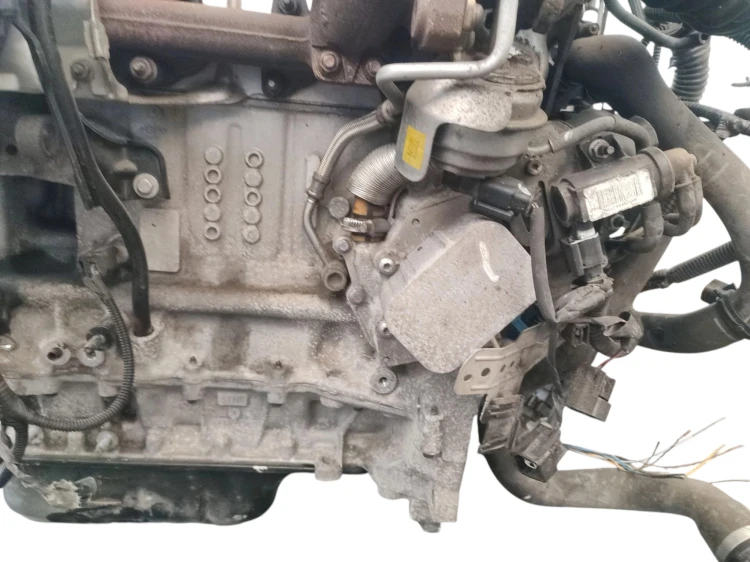 SILNIK KOMPLETNY FORD FOCUS MK3 (2010-2014) 1.6 TDCI 105KM NGDB