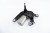 MECHANIZM WYCIERACZKI TYŁ CITROEN XSARA PICASSO (1999-2004) 1.6 HDI 9631473