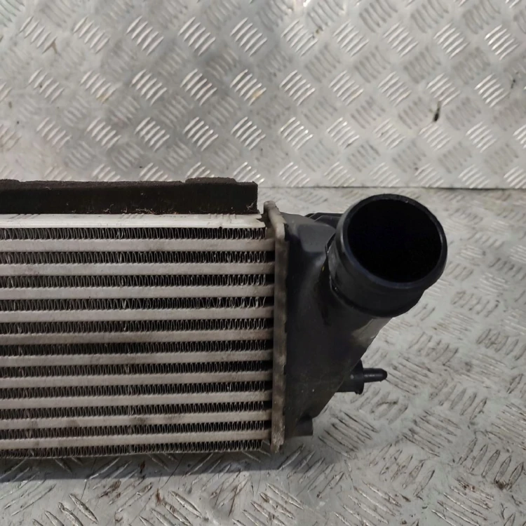 INTERCOOLER FORD ECOSPORT II (2013-2017) 1.0 EcoBoost 125KM C181-9L440-AD
