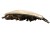 LAMPA PRAWY PRZÓD PEUGEOT 407 (2004-2008) 2.0 16V 140KM 9641939880