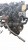 SILNIK KOMPLETNY FORD FIESTA MK7 (2008-2012) 1.6 TDCI 95KM TZJB