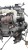 SILNIK KOMPLETNY FORD FIESTA MK7 (2008-2012) 1.6 TDCI 95KM TZJB