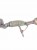 KATALIZATOR DPF SEAT ARONA (2017-2021) 1.0 TSI 115KM 2Q0131690B