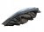 LAMPA PRAWY PRZÓD OPEL INSIGNIA B (2017-2020) 2.0 CDTI 170KM 39122969