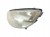 LAMPA LEWY PRZÓD RENAULT SCENIC II (2003-2005) 1.9 DCI 120KM 158103-00