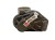 PRZEPUSTNICA FORD FOCUS MK2 (2004-2007) 1.6 16V 100KM VP4F9U-9E928-BA