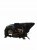 LAMPA PRAWY PRZÓD FORD FOCUS MK2 (2004-2007) 1.6 TDCI 90KM