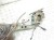ZWROTNICA WAHACZ PRAWY TYŁ NISSAN QASHQAI+2 J10 LIFT (2009-2013) 2.0 DCI 15