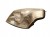 LAMPA LEWY PRZÓD CADILLAC BLS (2006-2010) 1.9 D 150KM P12759599