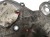 POMPA OLEJU OPEL ZAFIRA B (2005-2008) 2.2 16V 24450057