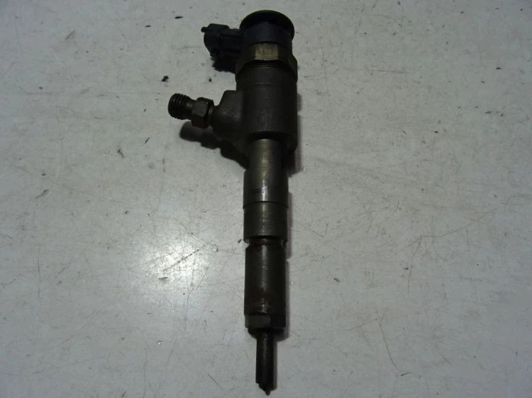 WTRYSKIWACZ CITROEN C3 I (2002-2005) 0445110252