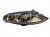 LAMPA LEWY PRZÓD JAGUAR XF I X250 LIFT (2011-2015) 3.0 D 275KM CX23-13W030-