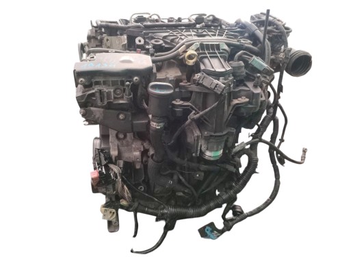 SILNIK KOMPLETNY FORD C-MAX MK2 (2010-2015) 2.0 TDCI 115KM TYDA