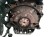 SILNIK KOMPLETNY FORD C-MAX MK2 (2010-2015) 2.0 TDCI 115KM TYDA