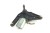 MECHANIZM WYCIERACZKI TYŁ RENAULT CLIO II (1998-2003) 1.5 DCI 82000071214