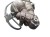 AMORTYZATOR PRAWY TYŁ CITROEN C6 (2005-2012) 2.7 HDI V6 9685256280