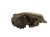 LAMPA PRAWY PRZÓD OPEL INSIGNIA A (2008-2013) 2.0 CDTI 160KM RE169095