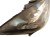 LAMPA PRAWY PRZÓD OPEL INSIGNIA A (2008-2013) 2.0 CDTI 160KM RE169095