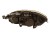 LAMPA PRAWY PRZÓD FIAT LINEA (2007-2012) 1.3 JTD 85KM