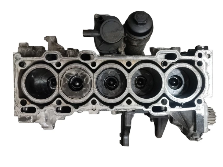 BLOK SILNIKA VOLVO S60 I LIFT (2004-2010) 2.4 D5 126KM 30677367