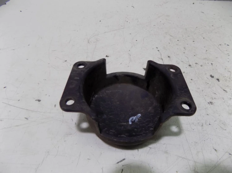 ZAŚLEPKA HALOGENU PRAWA RENAULT SCENIC II LIFT (2006-2009)
