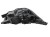 LAMPA LEWY PRZÓD CITROEN C4 II B7 LIFT (2015-2018) 1.2 THP 130KM 9808623880
