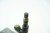 MECHANIZM WYCIERACZKI TYŁ RENAULT SCENIC II (2003-2005) 8200153458-C