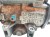 POMPA WTRYSKOWA AUDI A6 AVANT 059130106DX