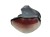 LAMPA LEWY TYŁ OPEL ZAFIRA B (2005-2008) 1.6 16V 105KM 24451841