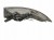 LAMPA LEWY TYŁ JAGUAR XF II X260 (2015-2020) 2.0 D 180KM GX63-13405-AC