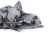 LAMPA LEWY PRZÓD CITROEN C3 PLURIEL 1.4 8V 9641774480