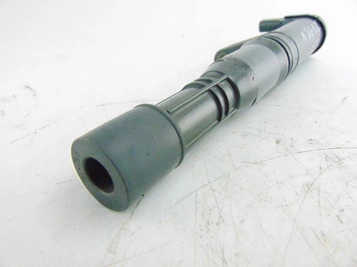 CEWKA ZAPŁONOWA RENAULT LAGUNA II (2001-2005) 1.6 16V 7700875000